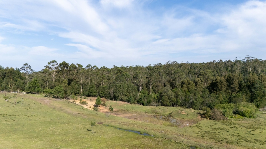 Commercial Property for Sale in Ladywood Western Cape